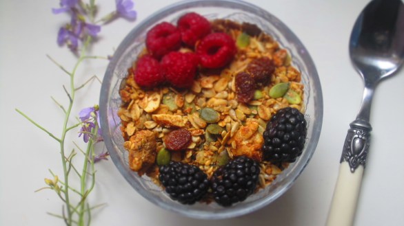 Deliciosamente sano granola 1