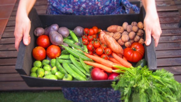 Deliciosamedntesano cestaorgánica (3)