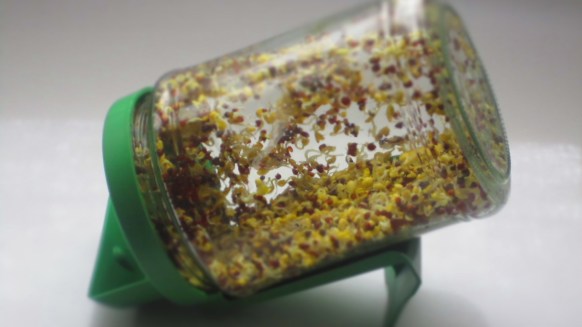 Deliciosamentesano brotes dia 2 (1)